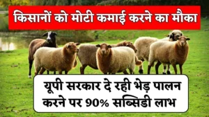 Bhed Palan Yojana Subsidy 2025: किसानों को मोटी कमाई करने का मौका, सरकार दे रही बकरी व भेड़ पालन करने पर 90% सब्सिडी लाभ 