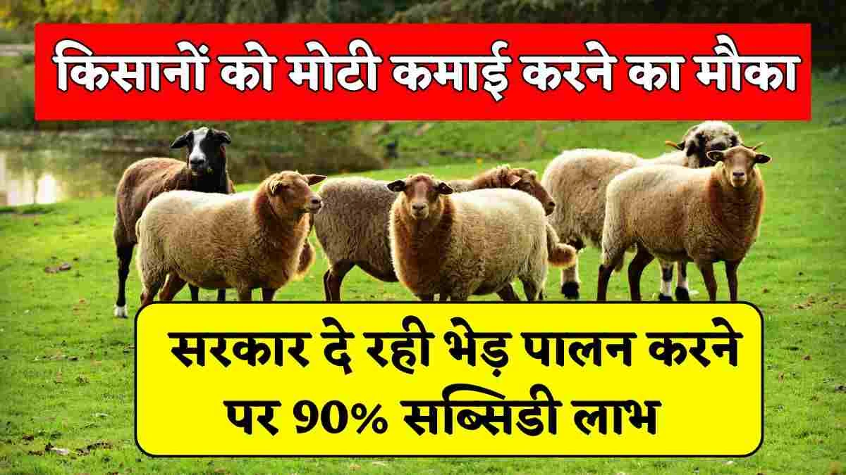 Bhed Palan Yojana Subsidy 2025: किसानों को मोटी कमाई करने का मौका, सरकार दे रही बकरी व भेड़ पालन करने पर 90% सब्सिडी लाभ